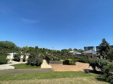 京成バラ園に投稿された画像（2025/5/3）