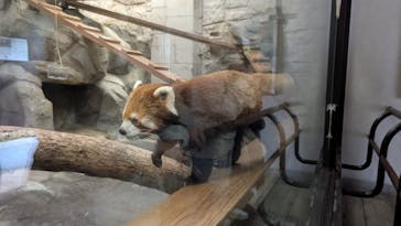 天王寺動物園に投稿された画像（2025/5/3）