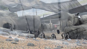天王寺動物園に投稿された画像（2025/5/3）