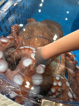 越前松島水族館に投稿された画像（2025/5/3）