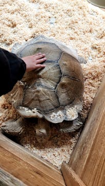 いきもの探検隊上尾に投稿された画像（2025/5/3）