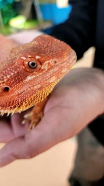 いきもの探検隊上尾に投稿された画像（2025/5/3）