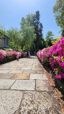 博物館 明治村に投稿された画像（2025/5/3）