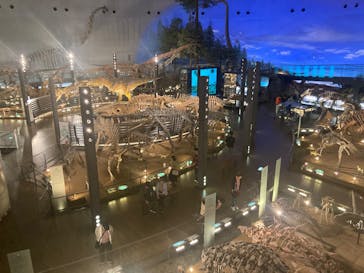 福井県立恐竜博物館に投稿された画像（2025/5/3）