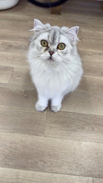 東武動物公園に投稿された画像（2025/5/3）