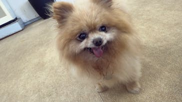 東武動物公園に投稿された画像（2025/5/3）