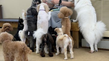 東武動物公園に投稿された画像（2025/5/3）