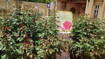 レオマリゾートに投稿された画像（2025/5/3）