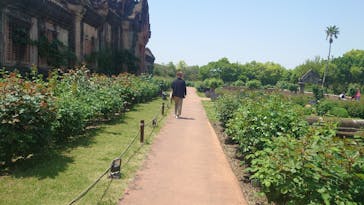 レオマリゾートに投稿された画像（2025/5/3）