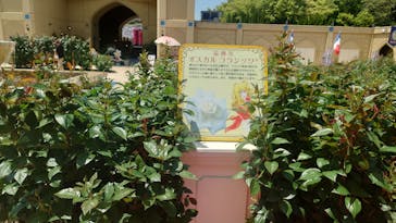 レオマリゾートに投稿された画像（2025/5/3）