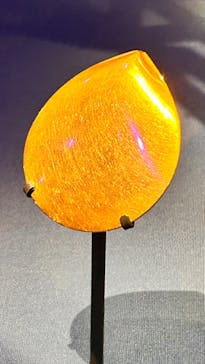 ACN ラムセス大王展 ファラオたちの黄金に投稿された画像（2025/5/3）