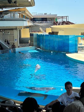 新江ノ島水族館に投稿された画像（2025/5/3）