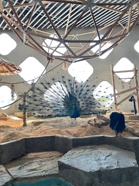 NIFREL（ニフレル）に投稿された画像（2025/5/3）