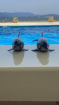 マリンワールド海の中道に投稿された画像（2025/5/3）