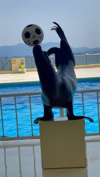 マリンワールド海の中道に投稿された画像（2025/5/3）