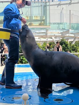 サンシャイン水族館に投稿された画像（2025/5/3）