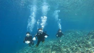 武藤潜水に投稿された画像（2025/5/3）