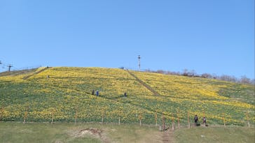 びわ湖バレイに投稿された画像（2025/5/3）