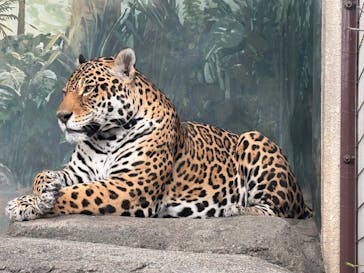 天王寺動物園に投稿された画像（2025/5/3）