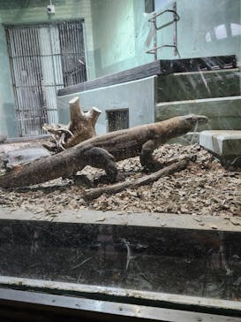 名古屋市東山動植物園に投稿された画像（2025/5/3）