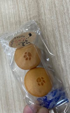 にゃんこ博覧会2025に投稿された画像（2025/5/3）