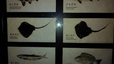 京都水族館に投稿された画像（2025/5/3）