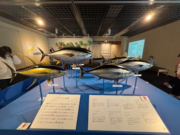 特別展「和食 ～日本の自然、人々の知恵～」に投稿された画像（2025/5/3）