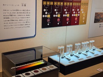 特別展「和食 ～日本の自然、人々の知恵～」に投稿された画像（2025/5/3）