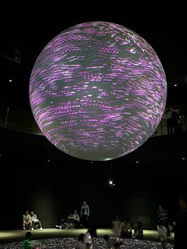 NIFREL（ニフレル）に投稿された画像（2025/5/3）