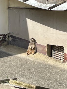 東武動物公園に投稿された画像（2025/5/3）