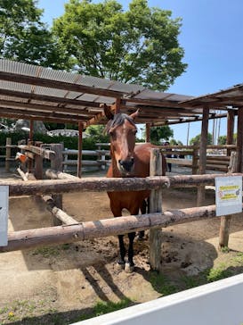 東武動物公園に投稿された画像（2025/5/3）