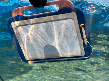 サンシャイン水族館に投稿された画像（2025/5/3）