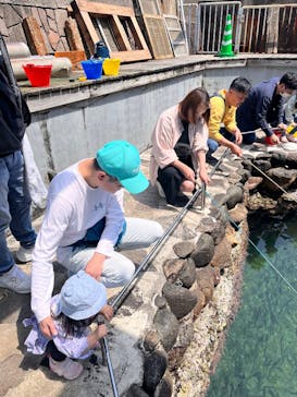 城崎マリンワールドに投稿された画像（2025/5/3）