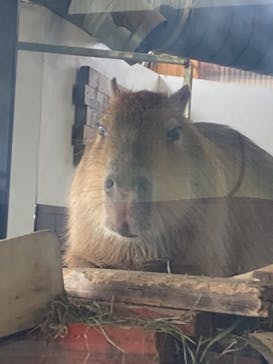 岩手サファリパークに投稿された画像（2025/5/3）