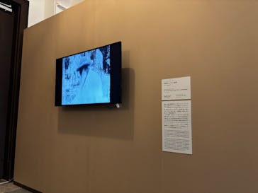 モネ　睡蓮のときに投稿された画像（2025/5/3）