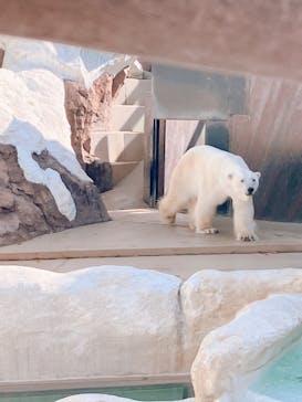 恩賜上野動物園に投稿された画像（2025/5/3）