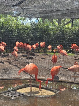 恩賜上野動物園に投稿された画像（2025/5/3）