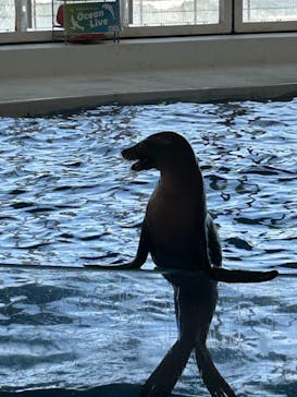 アクアワールド茨城県大洗水族館に投稿された画像（2025/5/3）