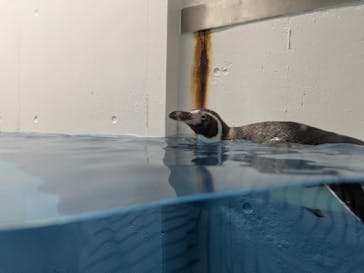 城崎マリンワールドに投稿された画像（2025/5/3）