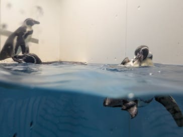 城崎マリンワールドに投稿された画像（2025/5/3）