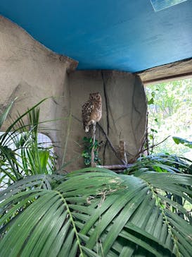 那須どうぶつ王国に投稿された画像（2025/5/3）