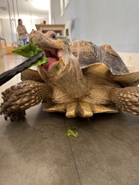 Moff アニマル カフェ イーアス 高尾店に投稿された画像（2025/5/3）