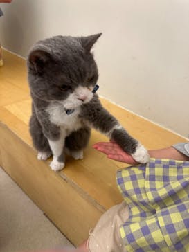 Moff アニマル カフェ イーアス 高尾店に投稿された画像（2025/5/3）