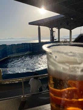 新江ノ島水族館に投稿された画像（2025/5/3）