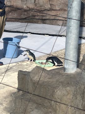 葛西臨海水族園に投稿された画像（2025/5/3）