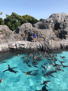 葛西臨海水族園に投稿された画像（2025/5/3）