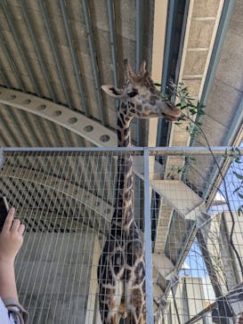 霞ケ浦 どうぶつとみんなのいえに投稿された画像（2025/5/3）