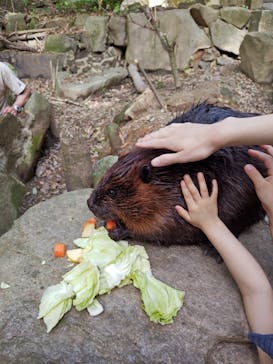 長崎バイオパークに投稿された画像（2025/5/3）