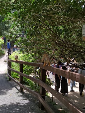 長崎バイオパークに投稿された画像（2025/5/3）