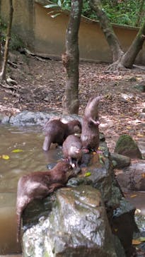 長崎バイオパークに投稿された画像（2025/5/3）